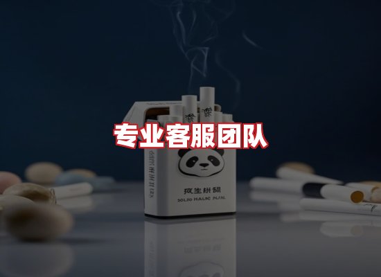专业团队
